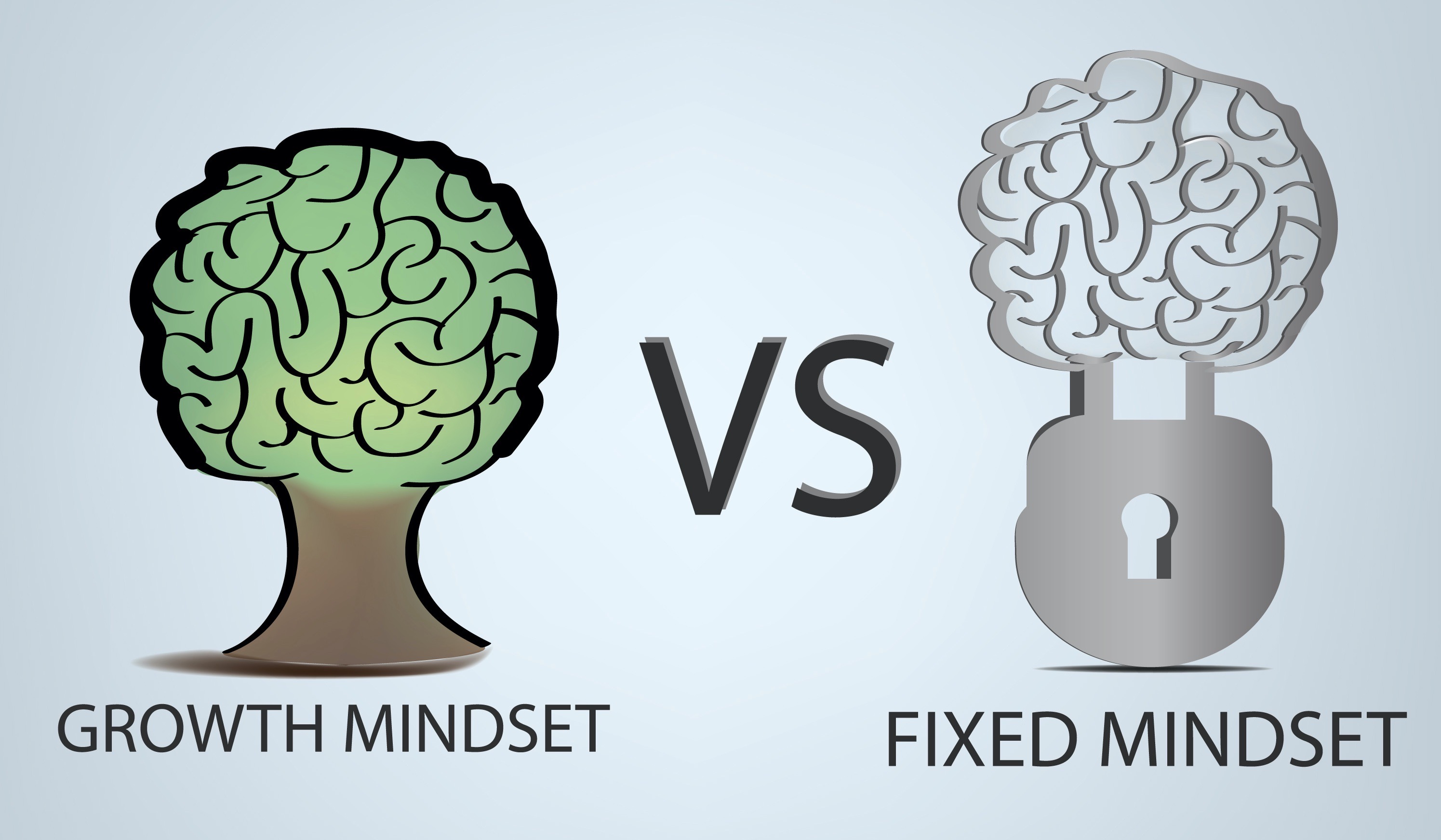 Fixed vs. Growth Mindset
